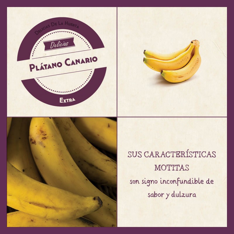 Canary Bananas – Fresh Organic